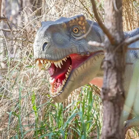 Casa Amelia With Sunset Terrace Lourinhã