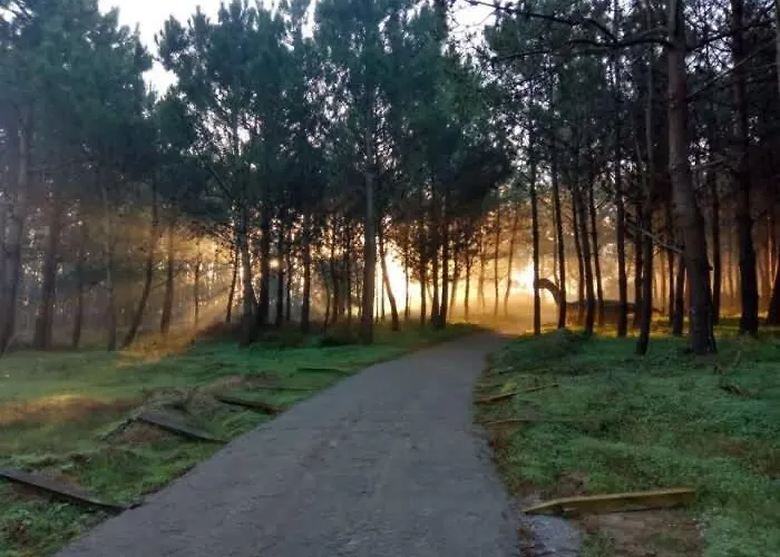 Casa Amelia With Sunset Terrace Daire *