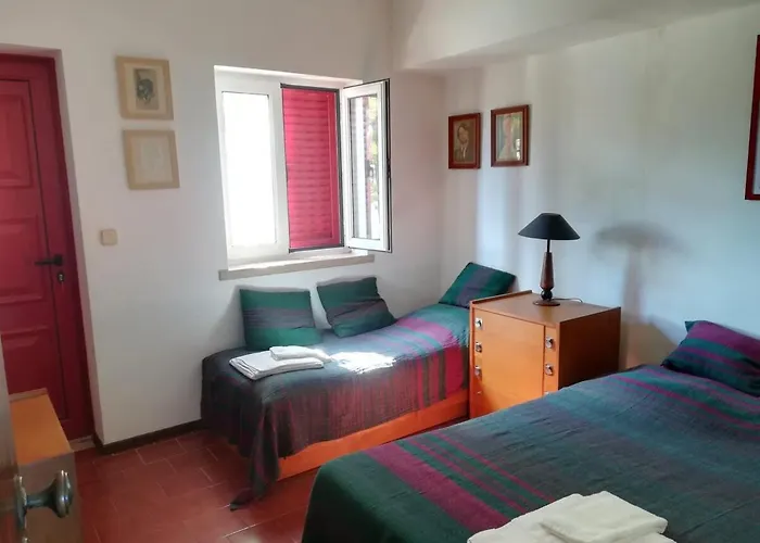 Daire Casa Amelia With Sunset Terrace